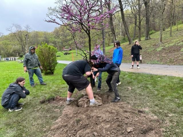 Students Working in Park