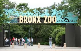 Zoo Days Problem Solving